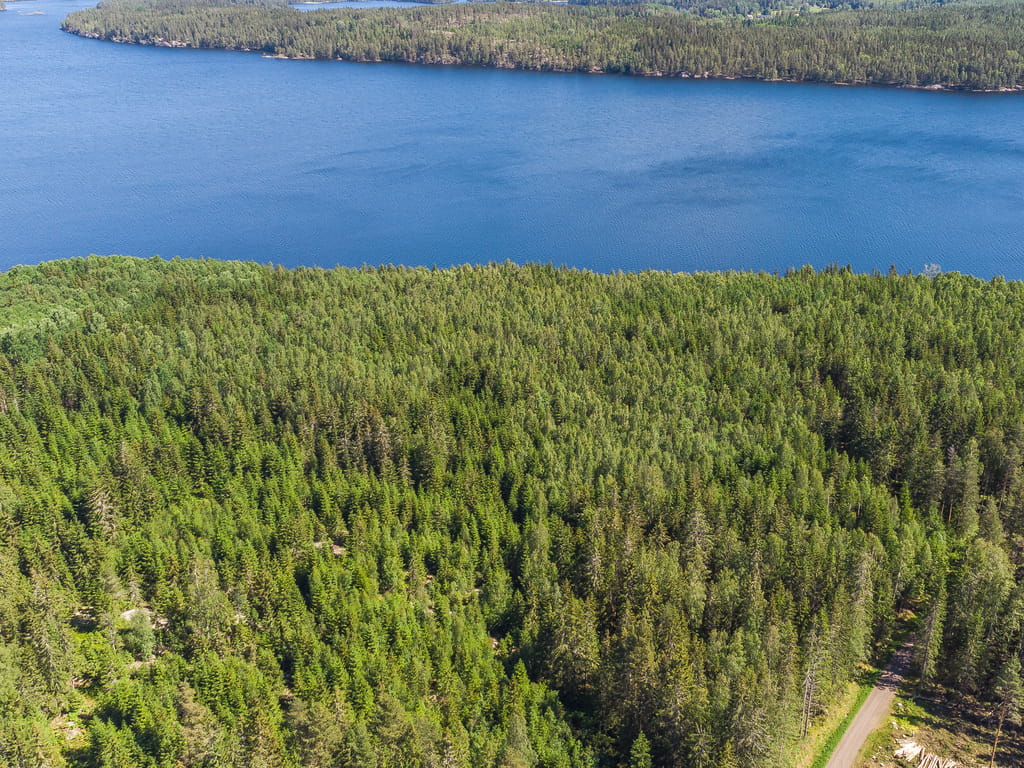 Landskap och fastighet i Dalsland